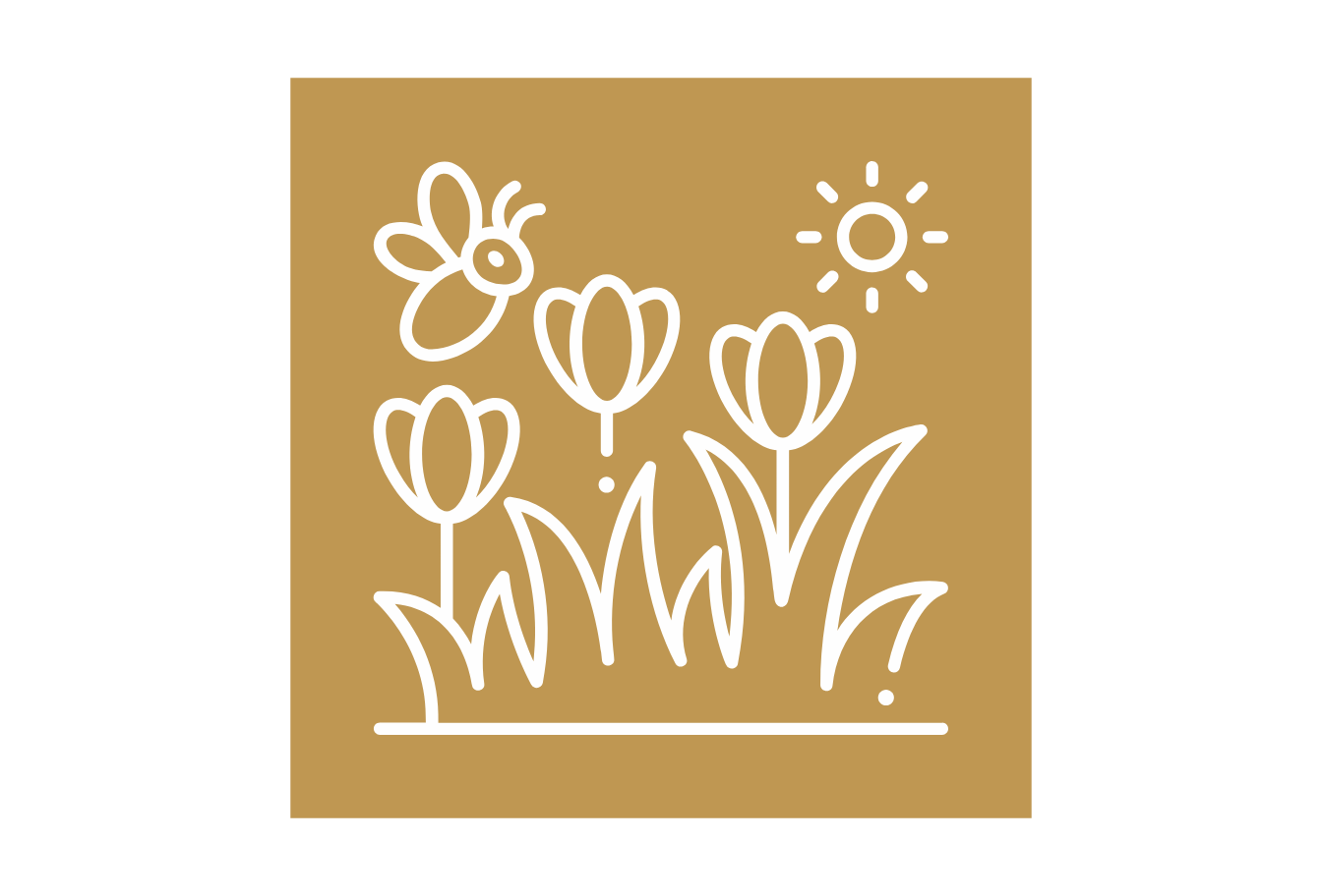 Beautiful Plantation